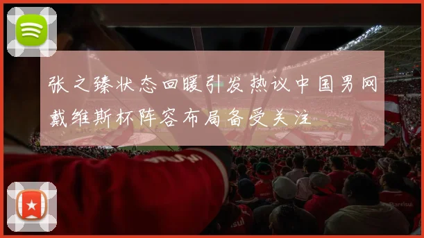 张之臻状态回暖引发热议中国男网戴维斯杯阵容布局备受关注