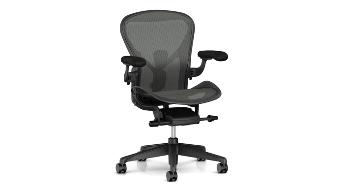 ergonomic-office-chair-options-for-you-in-2023