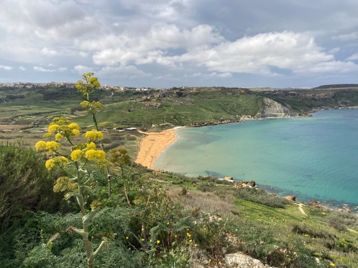 how-gozo-became-one-of-the-greenest-islands-in-the-med
