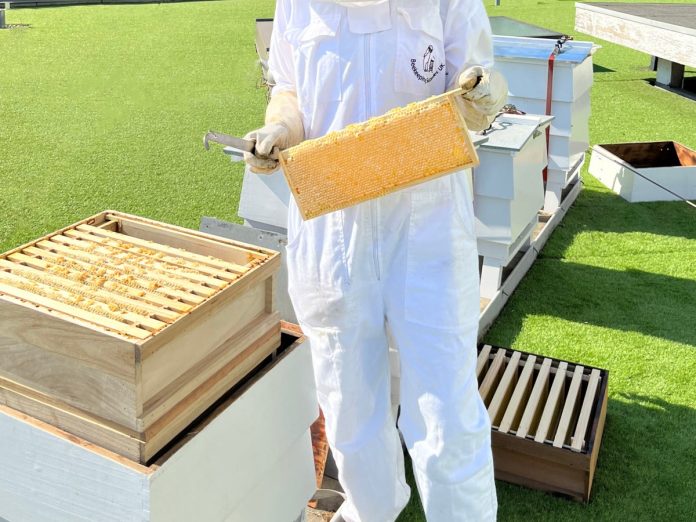 beeswax-and-breakfast-in-bed:-what’s-abuzz-at-this-london-hotel’s-rooftop-hives