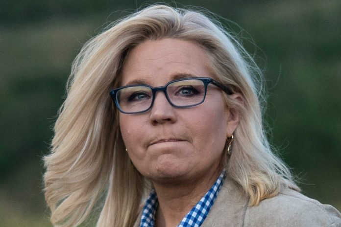 liz-cheney-still-plans-to-make-a-difference-in-the-election