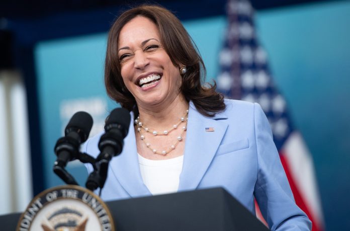 those-kamala-harris-‘coconut-tree’-memes-are-organic-handle-with-care.